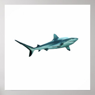 Poster Requin de récif - Design abstrait - Découpé d'une