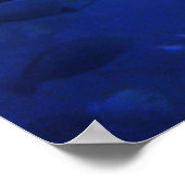 Poster Requin et poisson-chirurgien (Coin)
