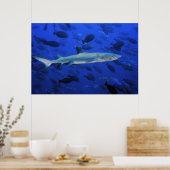 Poster Requin et poisson-chirurgien (Cuisine)
