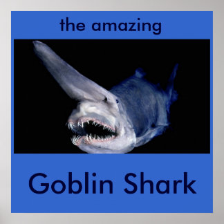 Poster Requin gobelin