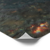 Poster Requin gris (Coin)