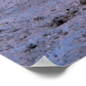Poster Requin guitare (Coin)
