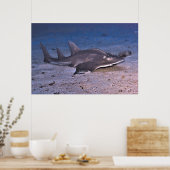 Poster Requin guitare (Cuisine)