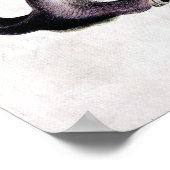 Poster requin marteau (Coin)