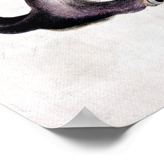 Poster requin marteau (Coin)