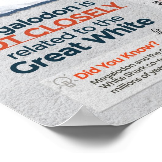 Poster Requin Megalodon - Predator! 24 x 36 pouces (Coin)