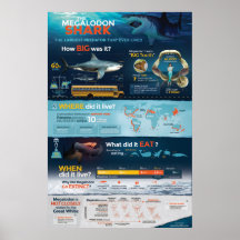 Requin Megalodon - Predator! 24 x 36 pouces