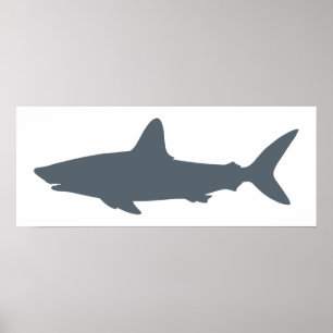 Poster Requin météo blanc et orageux