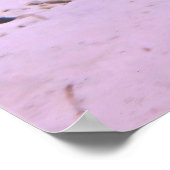 Poster Requin noir sur la plate-forme (Coin)