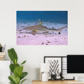 Poster Requin noir sur la plate-forme (Bureau à domicile)