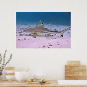 Poster Requin noir sur la plate-forme (Cuisine)