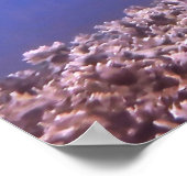 Poster Requin noir sur le récif (Coin)