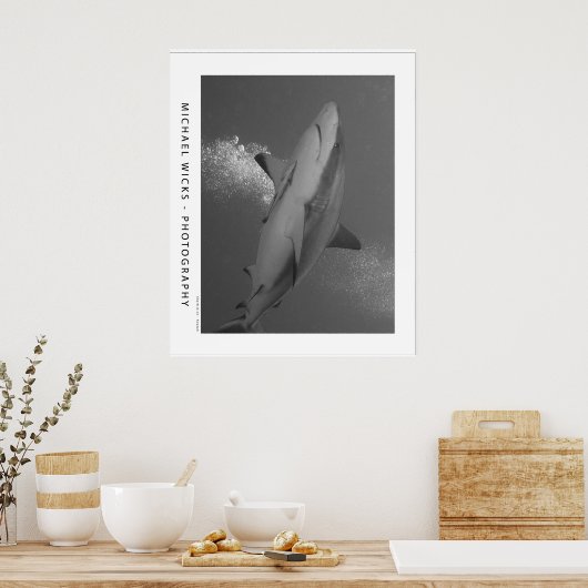 Poster Requin noir Tip Reef (Cuisine)