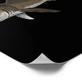 Poster Requin pèlerin (Coin)