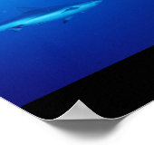 Poster Requin Poisson Eau Splash Swim Grey Guy Gal (Coin)