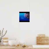 Poster Requin Poisson Eau Splash Swim Grey Guy Gal (Cuisine)