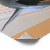 Poster Requin préhistorique (Coin)