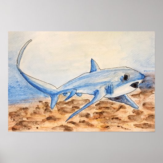 Poster Requin renard (Devant)