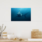 Poster Requin sous l'eau (Cuisine)