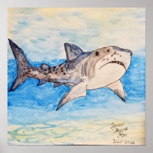 Poster Requin Tigre