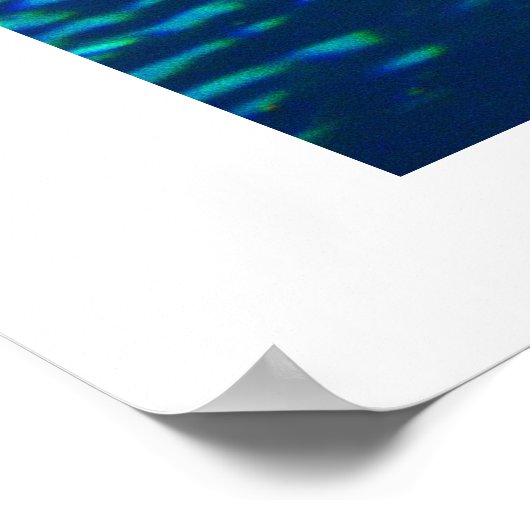 Poster requin-tigre de sable (Coin)