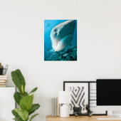 Poster Requin tigre (Galeocerdo cuvier) Alimentation du r (Bureau à domicile)