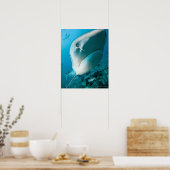 Poster Requin tigre (Galeocerdo cuvier) Alimentation du r (Cuisine)