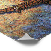 Poster Requin zèbre coloré (Coin)