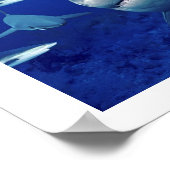 Poster requins (Coin)