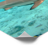 Poster Requins dans l'affiche du lagon de Bora Bora (Coin)