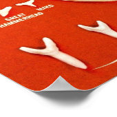 Poster Requins de Floride (Coin)