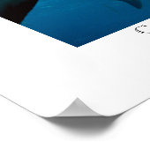 Poster Requins de récifs caribéens (Coin)