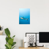 Poster Requins gris (Carcharhinus amblyrhnchos) (Bureau à domicile)