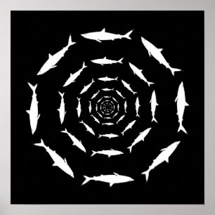 Poster requins nageant en cercles