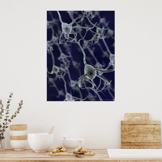 Poster Réseau neuronal (Cuisine)