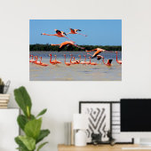 Poster Réserve de biosphère de Celestun (Bureau à domicile)