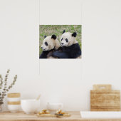 Poster Réserve de Wolong, Chine, Panda géant faisant un c (Cuisine)