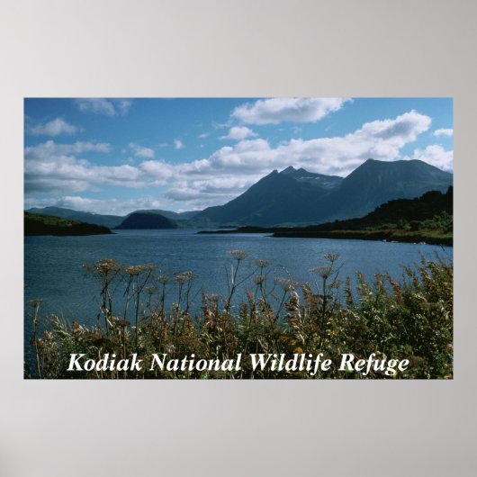 Poster Réserve faunique nationale de Kodiak (Devant)