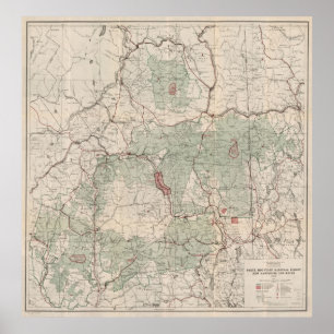 Poster Réserve forestière blanche vintage Map (1931) de