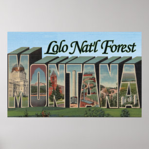 Poster Réserve forestière de Lolo, Montana