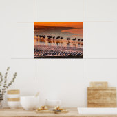 Poster Réserve nationale de faune andine Eduardo Abaroa (Cuisine)