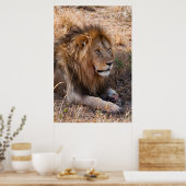 Poster Réserve nationale du Lion Massai Mara, Kenya (Cuisine)