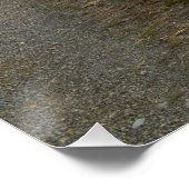 Poster Réservoir de Light Hazzles (Coin)