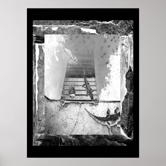 Poster Réservoir de reptiles (Devant)