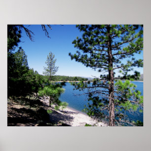 Poster Réservoir de ruée - réserve forestière de Tahoe