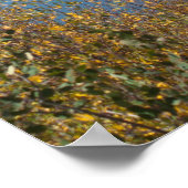 Poster Réservoir Jumbo (Coin)