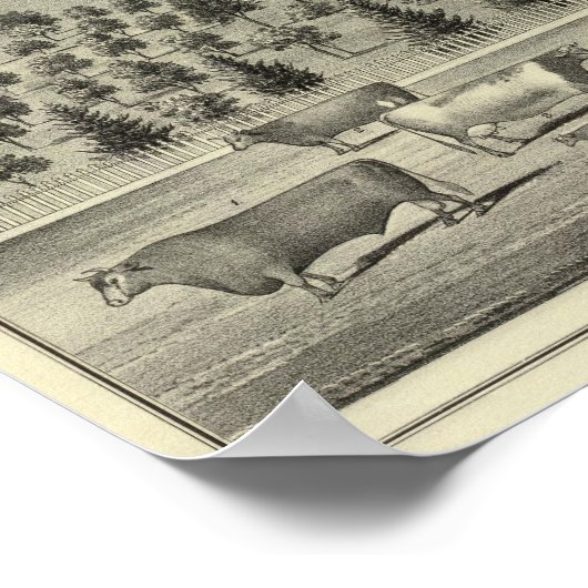 Poster Résidence de Quinn (Coin)