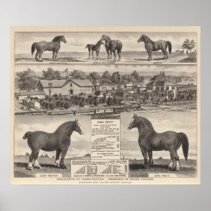 Poster Residence of James Potter, Junction City, Kansas