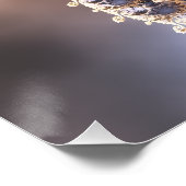 Poster Résilience (Coin)