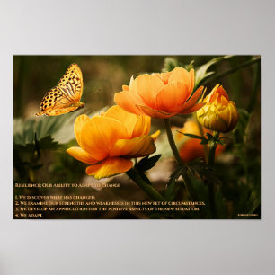 Poster Résilience